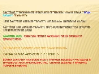 царства живих бића | PPT