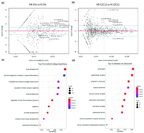 Differential Expression Analysis Of Mirnas In Evs And C C Cells Under