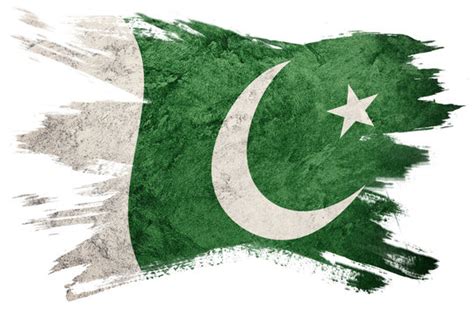 Pakistan Flag - Pakistan Flag Painting By Jaime Enriquez - witch-of-oz ...