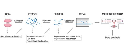 Proteomics Trost Lab