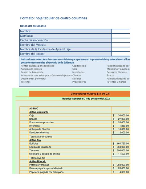 Balance General Pdf Formato Hoja Tabular De Cuatro Columnas Activo