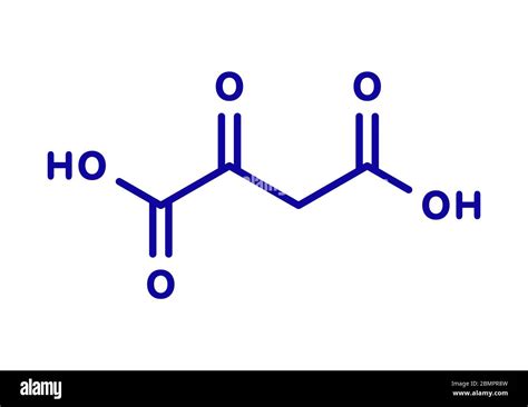 Oxaloacetic Acid Molecule Cut Out Stock Images And Pictures Alamy