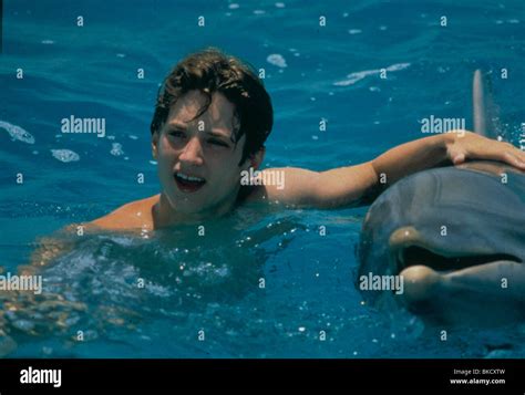 Flipper 1996 Elijah Wood Stock Photo Alamy