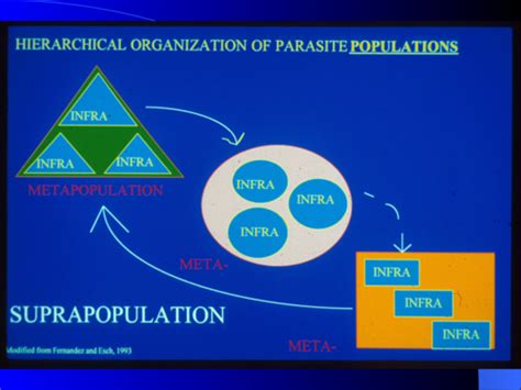 Parasitology Lec Test 1 Flashcards Quizlet