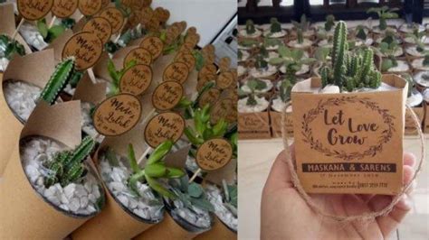 Souvenir Kaktus Bisa Jadi Alternatif Untuk Pecinta Tanaman Hias Harga