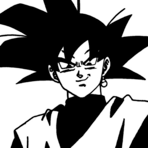 Mysterious Goku Black