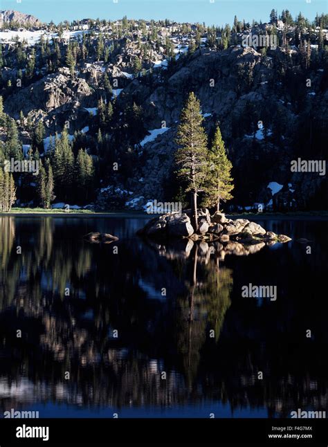 California Sierra Nevada Mountains Eldorado National Forest Pine