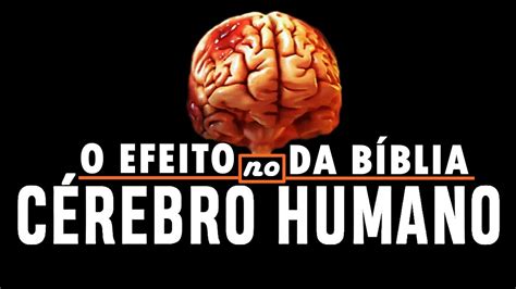 O Efeito da Bíblia no Cérebro Humano O Poder da Fé Sinais dos Tempos