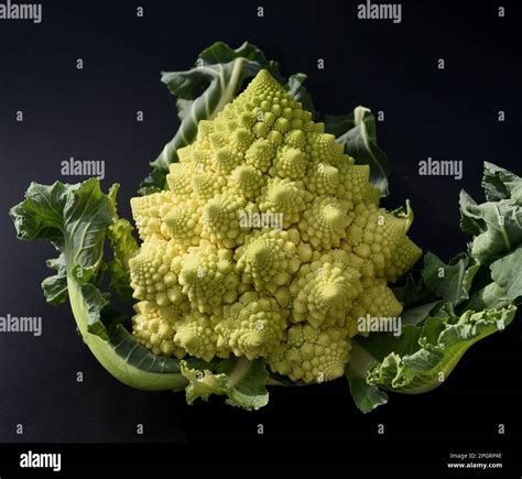 Romanesco Brokkoli Hat Gro E Grune Blueten Mit Hervorragendem