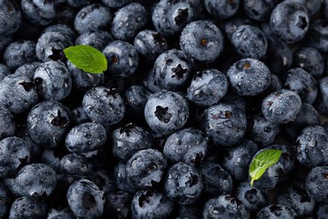 Moras Azules Son Buenas Para Las Personas Con Diabetes Y Cu Ntas