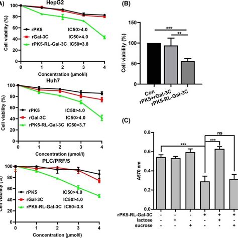 Pk5 Rl Gal 3c Inhibits Hcc Cell Proliferation In Vitro Hcc Cells Were Download Scientific