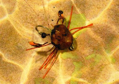 Tying A Realistic Crab Fly Florida Sportsman