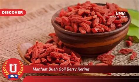 Intip 6 Manfaat Buah Goji Berry Kering Yang Wajib Kamu Tahu