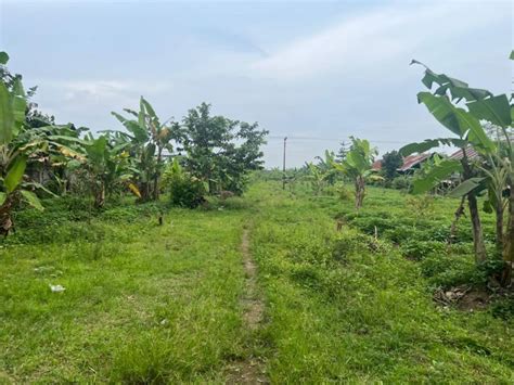 Tanah Lingsar Sigerongan Lombok Barat