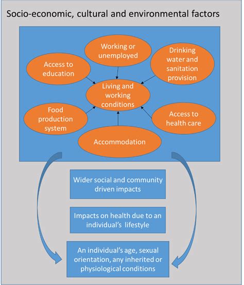 Socioeconomic Cultural And Environmental Factors Impacting An