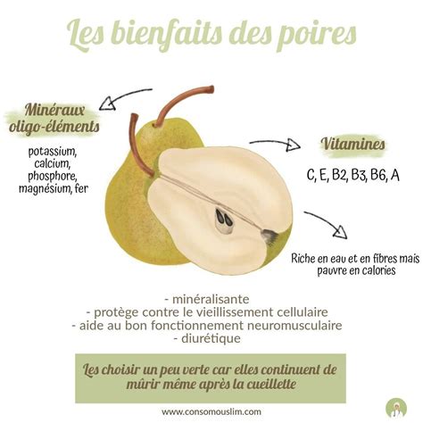 Infographie La Poire Est De Saison En Ce Mois De Janvier