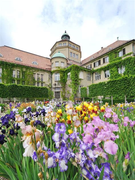 München Botanischer Garten Im Herbst Redaktionelles Foto Bild von