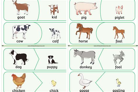 Free Farm Animals And Their Young Match Game Early Yearsey Eyfs