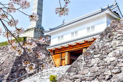 舞鶴城公園の桜【甲府市】 山梨の桜名所・お花見スポット2024〜富士山との絶景や夜桜、春のお祭りまで Porta