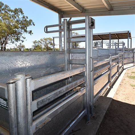 Fully Sheeted Calf Race Proway