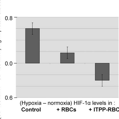 Suppression Of The Induction Of HIF 1 By Hypoxia In The HBrMECs In The