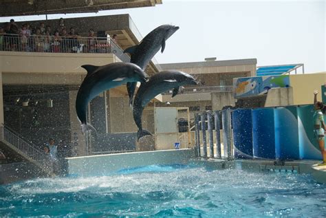 Enoshima Aquarium | POP JAPAN