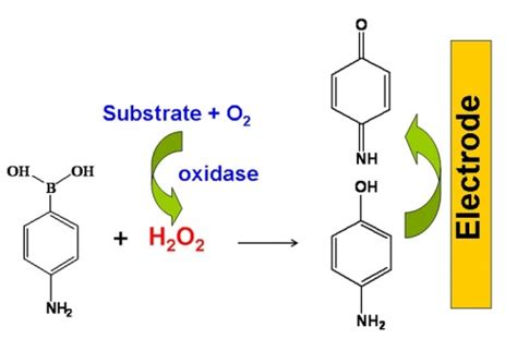 A Versatile Strategy For Electrochemical Detection Of Hydrogen Peroxide