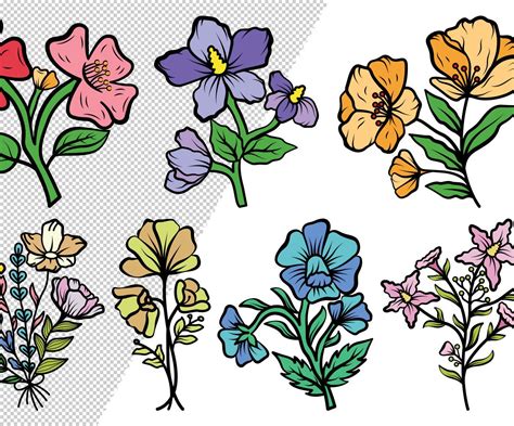 Wild Flower Clipart Bundle Drawings