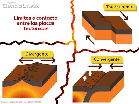 mencione quienes interactúan en el movimiento de las placas tectónicas