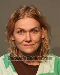 Recent Booking Mugshot For MEGAN KATHLEEN FITZGERALD In Polk County Iowa