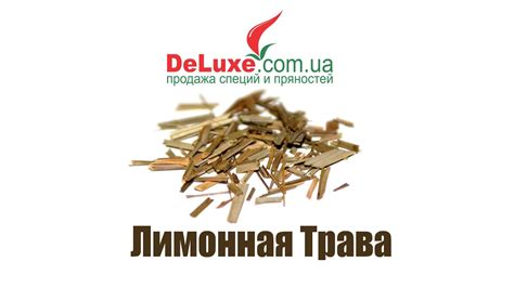 Лимонная трава Лемонграсс Сорго - YouTube