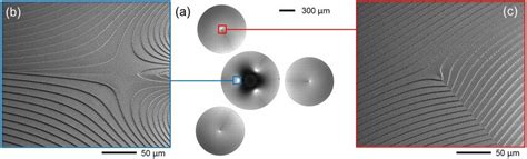 Compact Three Fold Divider Inspection At Optical Microscope A Top