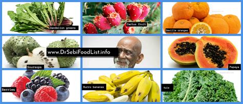 Dr. Sebi Food List (@drsebifoodlist) / Twitter