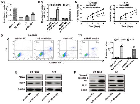 MicroRNA98 Suppresses Cell Growth And Invasion Of Retinoblastoma Via