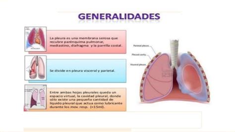 Drenaje Pleural Pdf