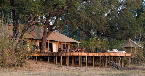 Zarafa Camp In The Okavango Delta Luxury Safari In Botswana