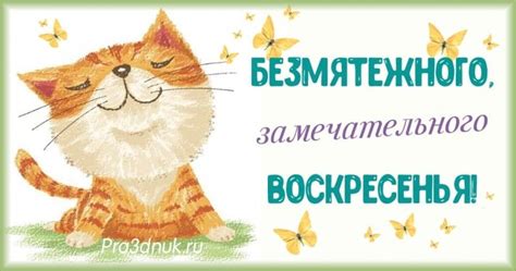 Добро воскресенье | Смешные открытки, Воскресенье, Открытки