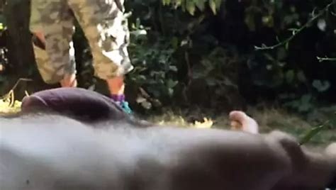 Chub Mature Cruising Xhamster