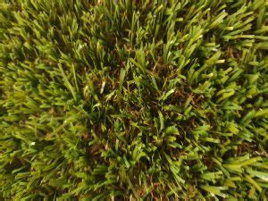 Free Samples ARTIFICIAL GRASS ONLINE