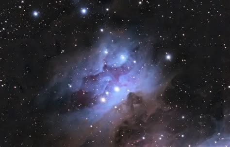 Daily Telescope: The sword of Orion contains a brilliant reflection ...