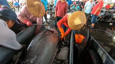 Giant Bluefin Tuna For Sale In Taiwan Cutting Process Of Bluefin Tuna