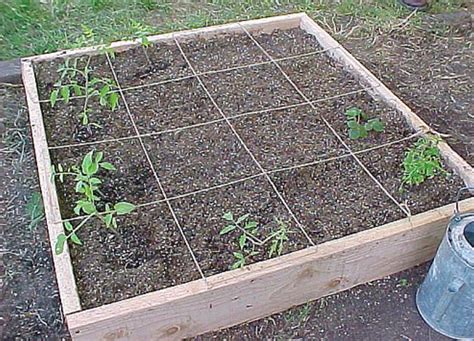 Square Foot Gardening How To Start A Garden In A 1 X 1 Grid Garden