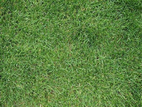 Premium Photo Green Meadow Background