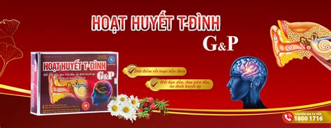 HOẠT HUYẾT T ĐÌNH G P Tập đoàn Y Dược G P Mama sữa non