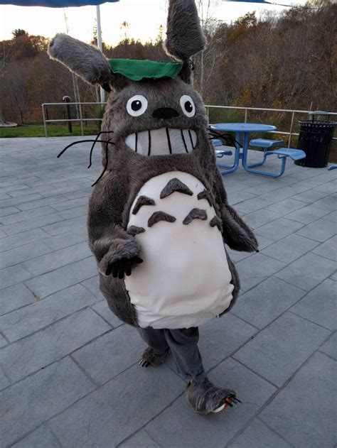 My Daughters Totoro Costume Totoro Costume Totoro Costumes