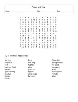 Protists And Fungi Word Search Puzzle With Key By Maura Derrick Neill