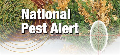 Pest Alerts Regional Ipm Centers