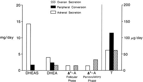 Androgen Metabolism Glowm