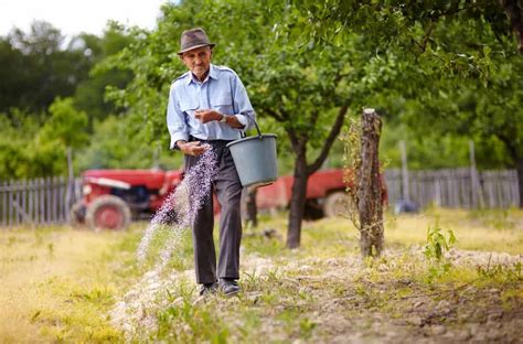 How To Fertilize Your Lawn Correctly The Unlimited Guide