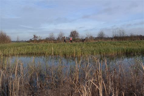 Veenendaal Wil Delen Groene Grens Kopen Al Het Nieuws Uit Veenendaal